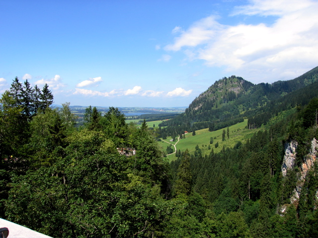 IMG_0323.JPG